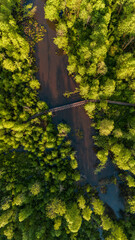 aerial view from above of swamps in poland in spring