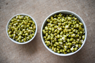 Sprouted beans in a container and cup. Dietary sprouted grains.