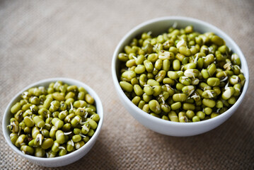 Sprouted beans in a container and cup. Dietary sprouted grains.