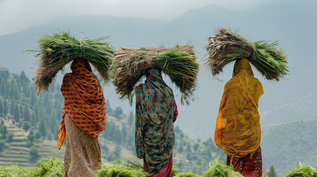 Women in a Pakistani village carry grass as part of their daily life