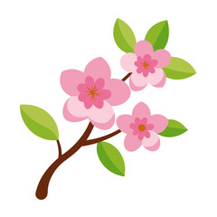 Vector of pink cherry blossom flowers in full bloom, brown branch, green leaves, isolated