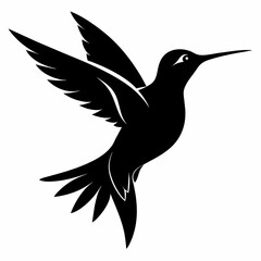 Humming bird flying black silhouette an white background  