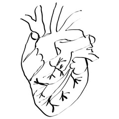 Handdrawn Heart