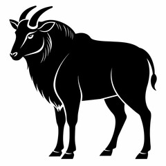 Takin vector silhouette an white background 