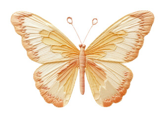 Fototapeta premium PNG Butterfly flying animal insect invertebrate