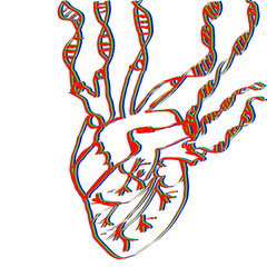 heart 2 DNA RGB