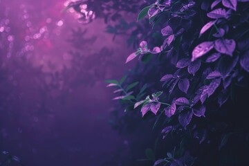 A bush with vibrant green foliage and purple leaves standing out against the backdrop, A dreamy purple gradient fading into darkness