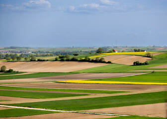 ponidzie, pole, krajobraz, widok, świat, polska, świętokrzyskie 