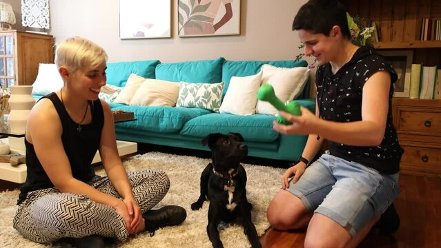 Young Lesbian Couple Playing with Their Dog at Home