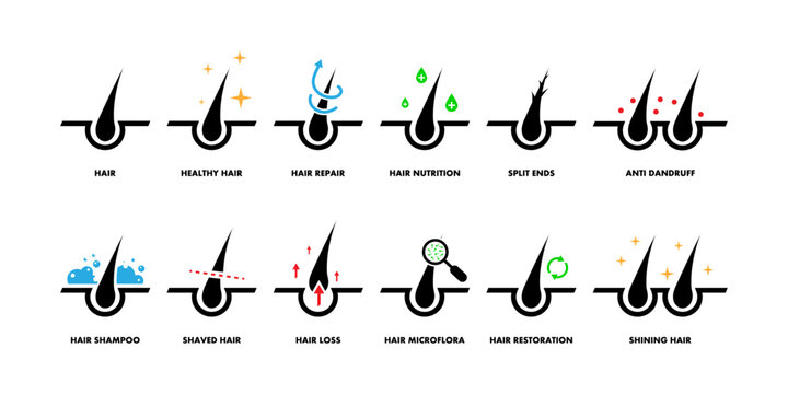 Hair treatment and care signs set. Labels for shampoo or cosmetic procedures. Hair follicles, repair, nutrition, split ends, anti-dandruff, restoration. Shiny healthy hair sign. Labels or stickers.