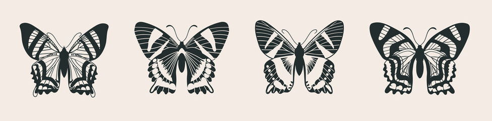 Four beautiful, graceful retro styled moths, top view. Butterflies vector illustration, hand drawn in ink. Elegant monochrome insects.