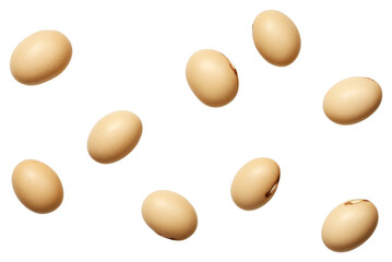 PNG Several soy bean backgrounds food egg. AI generated Image by rawpixel.
