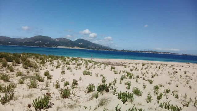 beautiful baech of Marathonisi island in Zakynthos