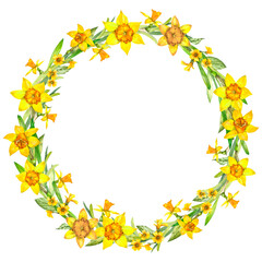 Wreath flowers. Spring flowers gardening. Yellow daffodils. Watercolor round frame, wreath isolated on white background hand drawn. For banner, card, template, poster, print, border, board. Clipart