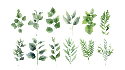 A set of green leaves with varying sizes and shapes