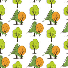 Seamless pattern with green pine trees and fall deciduous trees on white background. Vector illustration.