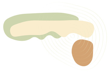 Abstract shape style, nature organic. Vector illustration.	