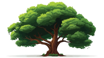 Realistic high detailed vector plant tree isolated.