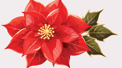 Red poinsettia flower for Christmas decoration isol