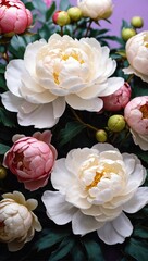 Bouquet of pink and white peony flowers. Romantic flowers vertical background 