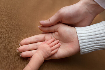 the hand of a newborn in the hand of his older brother and parents. family of four