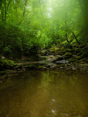 Harmankaya waterfall in spring