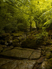 Harmankaya waterfall in spring