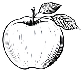 PNG Apple sketch drawing fruit.