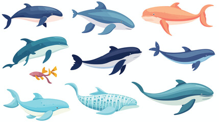 Set of hand drawn colorful marine mammals vector il