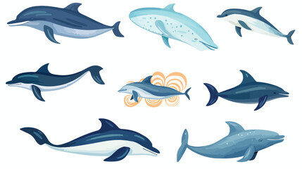 Set of hand drawn colorful marine mammals vector il
