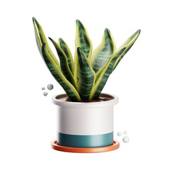 aloe vera plant in pot