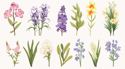 Set of gorgeous botanical drawings of spring flower