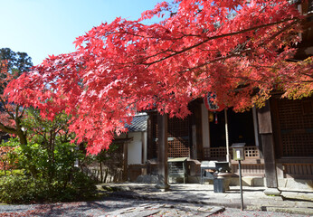 秋の赤山禅院　境内の紅葉　京都市左京区