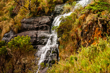 Laguan Comagueta Chitag&aacute;