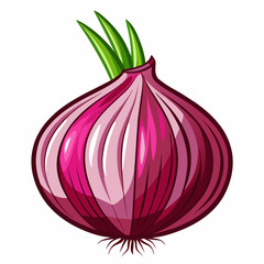 Fresh red onion vegetable bulb isolated on white background