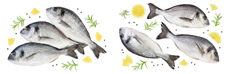 Fish dorado isolated on white background with  full depth of field. Top view. Flat lay