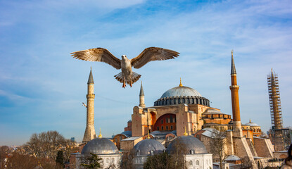 Hagia Sophia / Ayasofya. Hagia Sophia is the famous historical building of the Istanbul. Turkey.