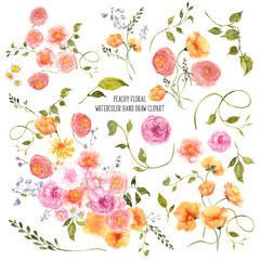 Watercolor hand draw clipart, peachy flowers, soft bouquet, crest frame, vintage bow, isolated on transparent background