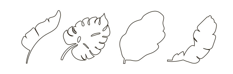 Set of four leaves in the outline style. Vector illustration isolated on a white background