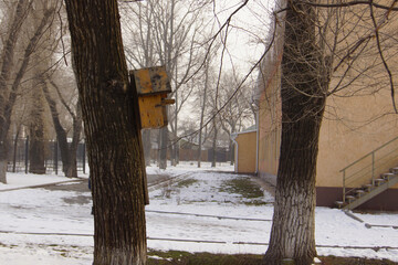 Wooden bird birdhouse in the trees. Winter.