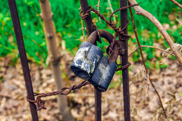 An iron gate or fence, closed with an old padlock on a wire, is shot in close-up against a background of blurred greenery on the street