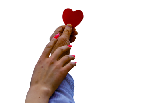 The hand of a guy with a model of a human heart and the hand of a girl striving for a model of a heart on the hand of a boy. A symbol for the pursuit of love. Transparent background.