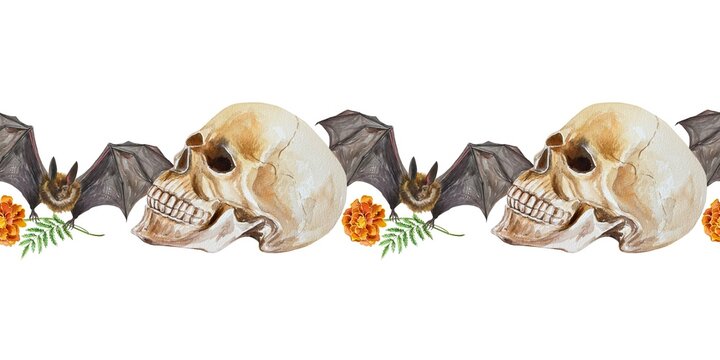 Human skull, bat, marigold flower, seamless border. Watercolor illustration isolated on white background. Posters, ribbons, tape, cards, invitations.