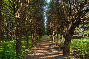 Fototapety na wymiar - Fototapeta24.pl