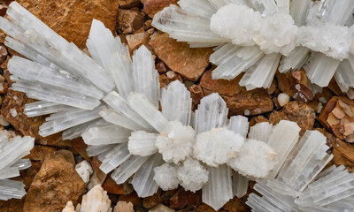 The crystals exhibit a radiant white hue, with their fine, needle-like structures elegantly radiating outward, creating a visually stunning contrast against the earthy background.