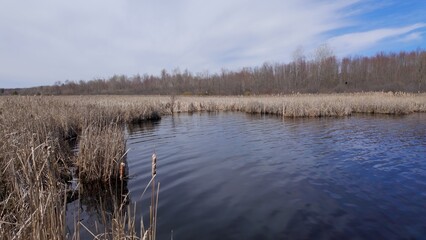 Mer Bleue National conservation area near Ottawa CANADA