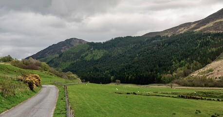 landscape in the mountains