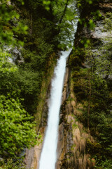 waterfall in the forest
