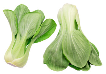 Fresh bok choy or chinese cabbage isolated on white background. File contains clipping paths.