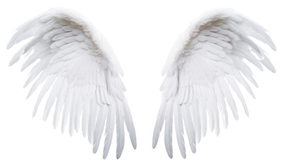 PNG Pair of white angel wing bird white background archangel. 